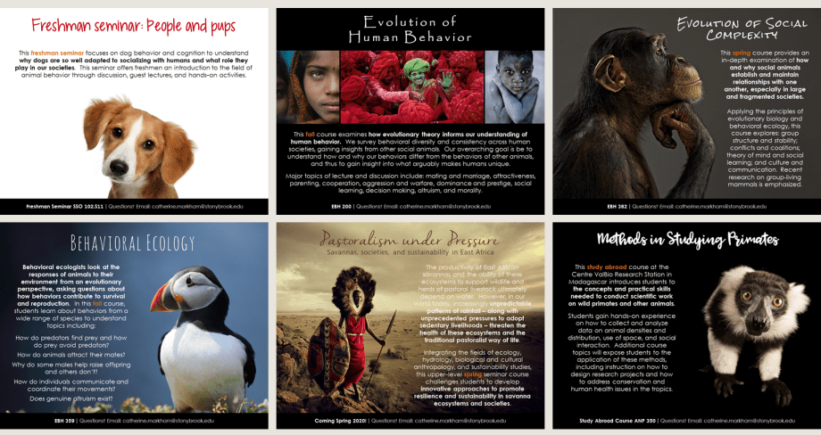 Markham course posters Fall 2019